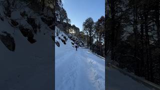 Jalori pass trek in snow #himachal #snowfall #jibhi