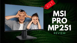 MSI PRO MP251 Review -  Well Rounded $169 Productivity Monitor!