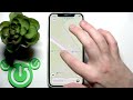 How to Drop a Pin on Apple Maps