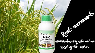 Liquid fertilizer & Weed control [ අස්වැන්න දෙගුණ කරන මුදල් ඉතිරි කරන දියර පොහොර ???? ]