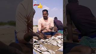 white Pamphlets  #fishingvideo #seaboys #seafood #fish #sea