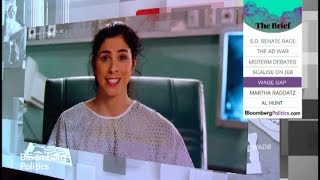 Sarah Silverman's Ad: The SFW Version