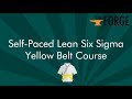 Online Lean Six Sigma Yellow Belt Certification