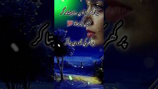 Pyar Ghar walon se poochh Kar nahin kiya jata #new #shayari #2025 #trending #sadpoetry #sad #viral