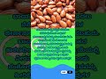 ನೆನೆಸಿದ ಬಾದಾಮಿ ತಿನ್ನುವ ಆರೋಗ್ಯ ಪ್ರಯೋಜನಗಳು health benefits of eating soaked almonds