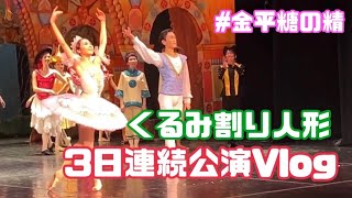 【本番映像あり】金平糖の精を踊ったくるみ割り人形の舞台裏Vlog【3日連続公演】