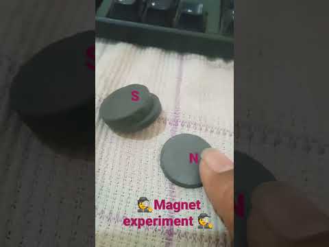 Can a magnet only have a North Pole?