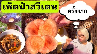 เก็บเห็ดป่า ในวันหยุด แกงเห็ดรวมของคนไทยไกลบ้าน | svampplockning | mushroom