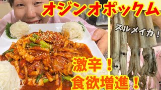 【激辛注意】スルメイカと素麺で作る”オジンオポックム”！食欲が止まりません...～本場の韓国料理～