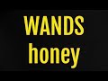 wands 「honey」 making of “fands meeting 2023”