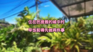 芭提雅，那歌城中村真实的样子