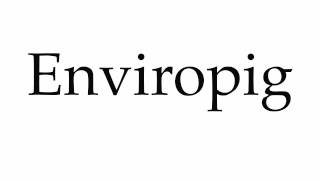 How to Pronounce Enviropig