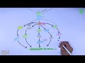 rankl rank opg signaling pathway osteoclast differentiation