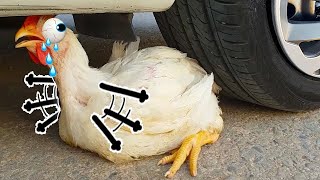 Baby Chicken Cant Run Away From Hot Wheel  Crushing Crunchy & Soft Things by Car