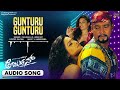 gunturu gunturu arjun audio song darshan meera chopra v.harikrishna kannada