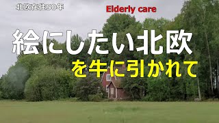 北欧の街*絵にしたいような北欧の風景。自分のケアは簡単！人に会う、笑う。感激のある毎日を送ること！