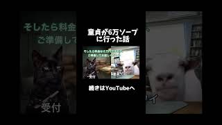 【猫ミーム】童貞が6万の高級ソ○プで卒業した話