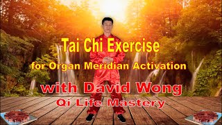 Tai Chi Exercise for Organ Meridian Activation with David Wong - Qi Life Mastery