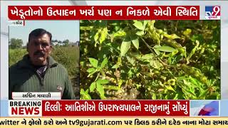 Farmers worry over crop damage due to constant changing atmosphere in Rajkot | Gujarat | TV9Gujarati