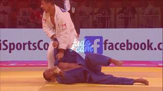 Ippon Daily | Tal Flicker