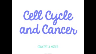 Unit 2 Cells Concept 3 Notes *UPDATED*