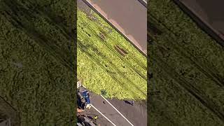 WATCH: A load of celery spills on highway
