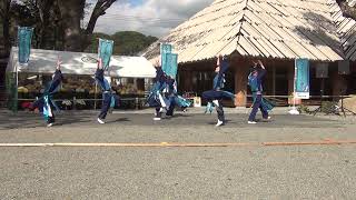 第8回 人吉よさこい祭り【青井阿蘇神社会場】結連・YOSAKOI小林翔舞会