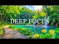 Deep Focus Music To Improve Concentration - 12 Hours of Ambient Study Music to Concentrate #786