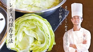 【意外に知らない】レタスの保存方法【プロが教える】