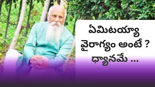 ఏమిటయ్యా వైరాగ్యం అంటే ? ధ్యానమే.......బ్రహ్మర్షి పితామహ పత్రీజీ సందేశం