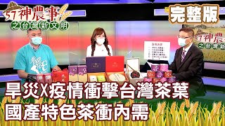 旱災X疫情衝擊台灣茶葉 國產特色茶衝內需《57神農事》完整版 胡忠信 蔣絜安 邱晨睿20210625