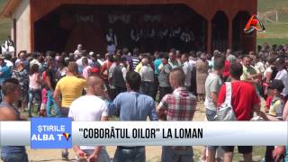 Coborâtul oilor la Loman