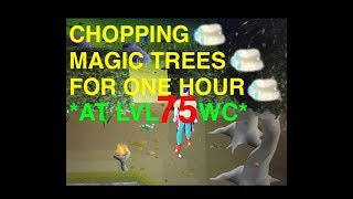 (OSRS) "Chopping Magic Trees For One Hour" - At Lvl 75 Woodcutting