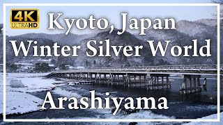 Kyoto on a special day in silver. Introducing the snowy scenery from Arashiyama to Saga.