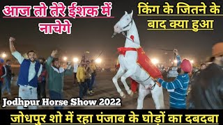 जोधपुर शो Stallion Ring में पंजाब का किंग जीता तो ऐसे किया खुशी का इजहार !