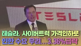 테슬라, 사이버트럭 가격인하로 인한 수요 우려... 3 36%급락