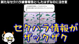 【もみ消し】新たなセクハラ被害報告と✌したはずなのに泣き言（嘘視聴者プレゼント） あいぽんの毎日