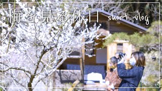 【VLOG】近所の梅園に行ったら素敵すぎた｜フリーランス夫婦の休日｜#11 イジュチャン！