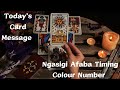 28 Nov'24🌼Today's Card Message🌼Ngasigi Afaba Timing Colour Number🌼Manipuri Tarot Card Reading🌼