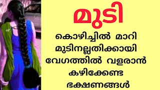 ഈ ഭക്ഷണങ്ങൾ കഴിച്ചാൽ നിങ്ങളുടെ മുടി നല്ല തിക്കായി വേഗത്തിൽ വളരും | hair growth best foods