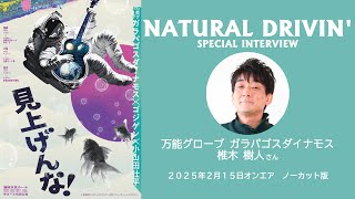 「万能グローブ ガラパゴスダイナモス」椎木樹人さんスペシャルインタビュー（ノーカット版）