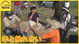 羊レースやエサやりも体験！３連休最終日「石狩川ひつじまつり」開催　草刈り費用抑える実験も