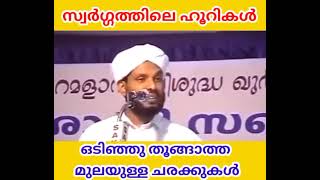 സ്വർഗ്ഗത്തിലെ ഹൂറികൾ|ഒടിഞ്ഞു തൂങ്ങാത്ത മുലയുള്ള ചരക്കുകൾ