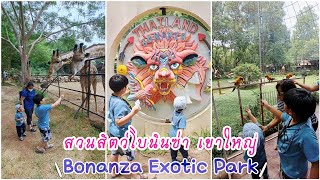 สวนสัตว์โบนันซ่า เขาใหญ่ | Bonanza Exotic Park | ให้อาหารยีราฟ