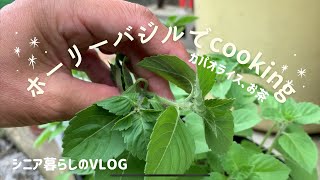 【シニア暮らしのVLOG】ホーリーバジルでcooking  ガパオライス、ハーブティー、ついでにピーマンの肉詰めも