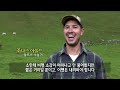 세상만사 알프스 소 1 200마리의 가을맞이 여행 ytn