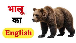 भालू को इंग्लिश में क्या कहते हैं | Bhalu Ko English Mein Kya Kahate Hain