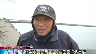 沿海養殖業災情慘 虱目魚遭凍死 20160125 公視晚間新聞