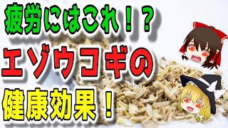 【ゆっくり解説】エゾウコギの健康効果について解説！