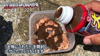 「大物にこれだ!!」×「HPP BAITS ボイルオキアミ」